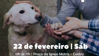 Photo of Mongaguá contará com Dia de Adoção Animal