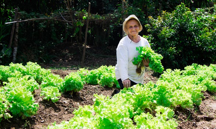 Agricultores levarão amostras de produtos hortifruti como banana, couve, mandioca, palmito pupunha, alface e manjericão