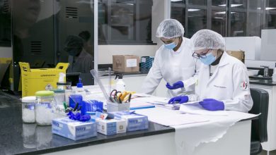 Photo of Estudo de SP ajuda a entender a dor associada a infecções virais