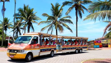 Photo of “City-Tour Descubra e Viva Itanhaém” acontece durante o mês de janeiro