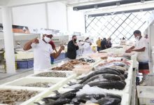 Photo of Festival do Camarão movimenta o Mercado de Peixes de Santos com descontos a partir de R$ 29,99