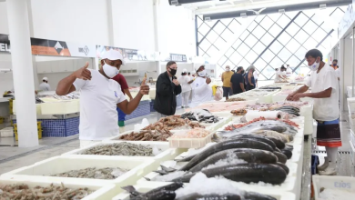 Photo of Festival do Camarão movimenta o Mercado de Peixes de Santos com descontos a partir de R$ 29,99